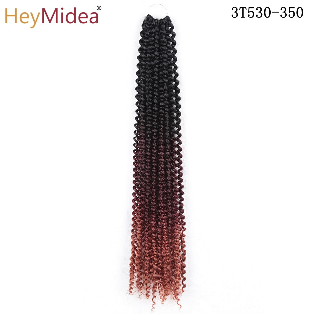 Ombre Twist Braid Hair Extensions