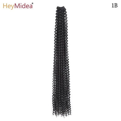 Ombre Twist Braid Hair Extensions