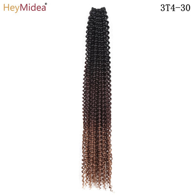 Ombre Twist Braid Hair Extensions