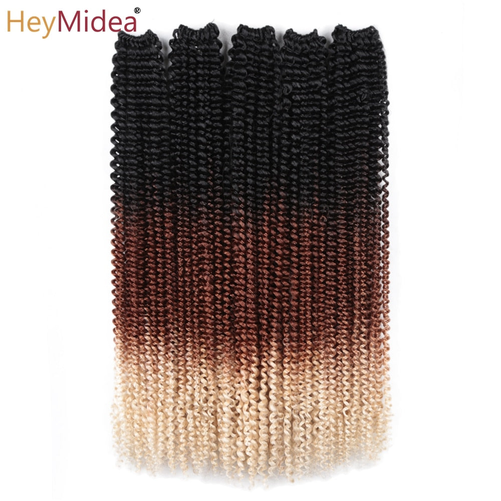 Ombre Twist Braid Hair Extensions