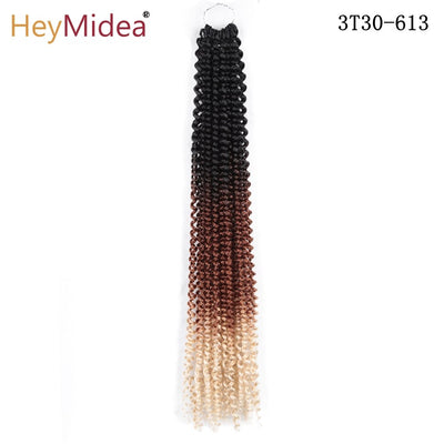 Ombre Twist Braid Hair Extensions