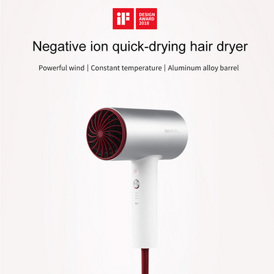 Negative Ion Hair Dryer - GiGezz