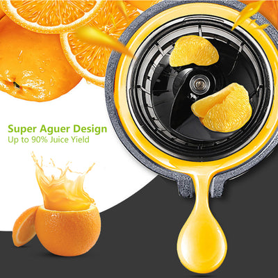 200W Stainless Steel Auger Juicer