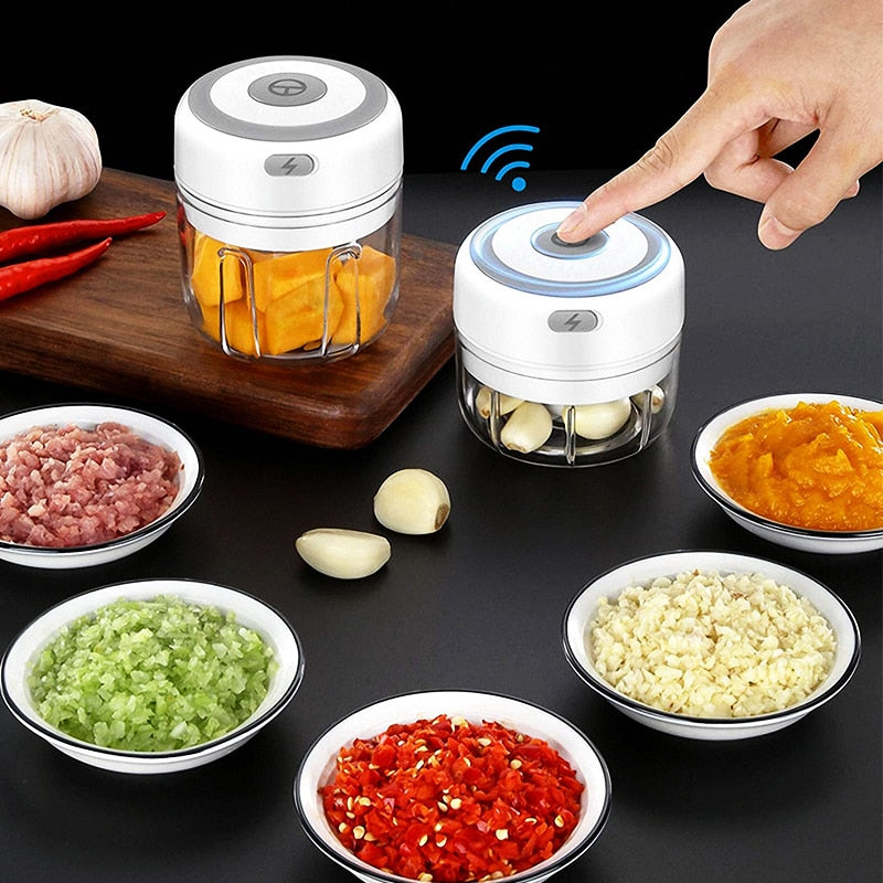 Portable Electric Mini Food Crusher & Blender