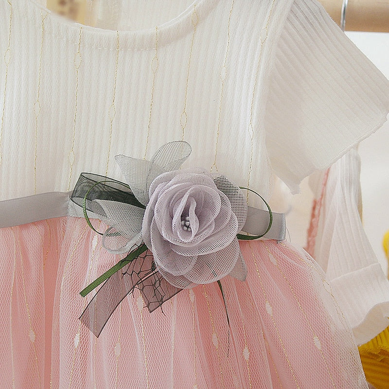 Toddler Mesh Tutu Dress