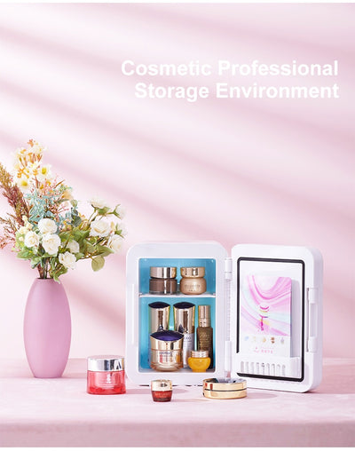 4L Mini Refrigerator Makeup Fridge for Home & Car