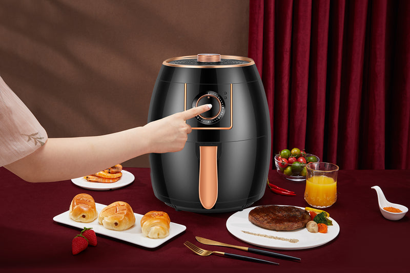 Portable Electric Air Fryer