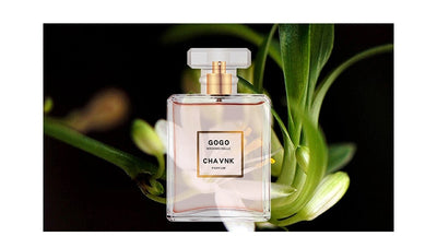 High Quality Perfume for Women